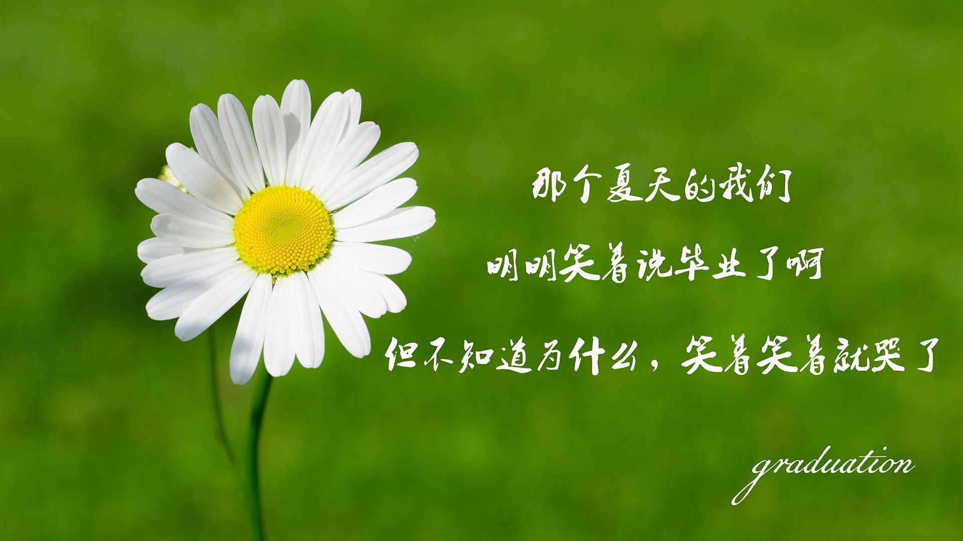 青训合作联盟签订多项战略合作，推动行业繁荣，青训会是什么